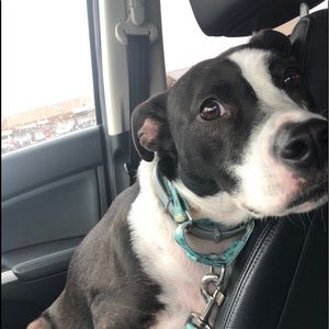 Meet your Posher, Joyce